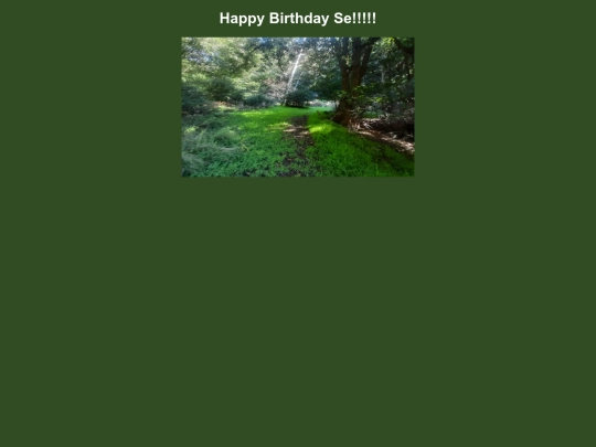 step29 screenshot