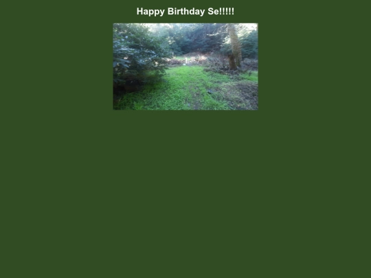 step31 screenshot