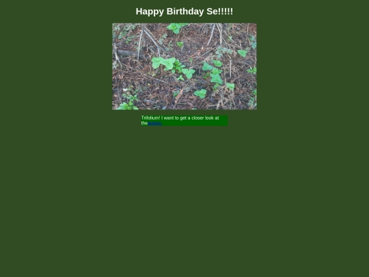step41closer screenshot