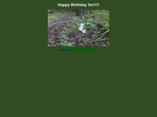 step54peek screenshot
