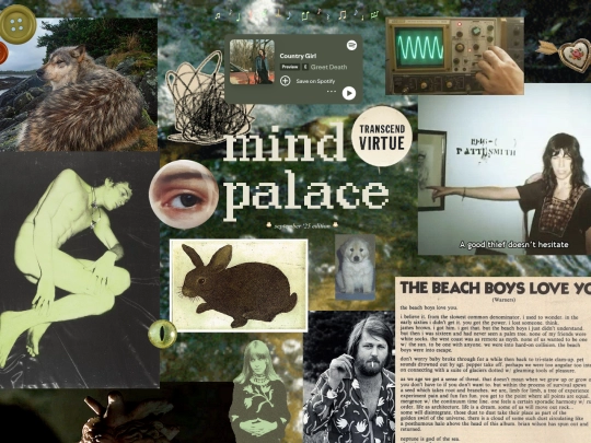 mindpalace screenshot