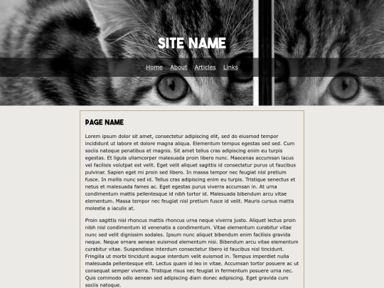 articles/template screenshot