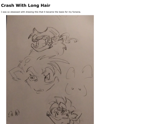 fanart/crashwithlonghair/crashwithlonghair screenshot