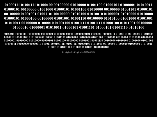 NOONEWILLBESAFE screenshot