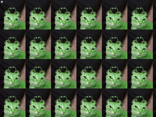 gnarpgnarprevamp screenshot