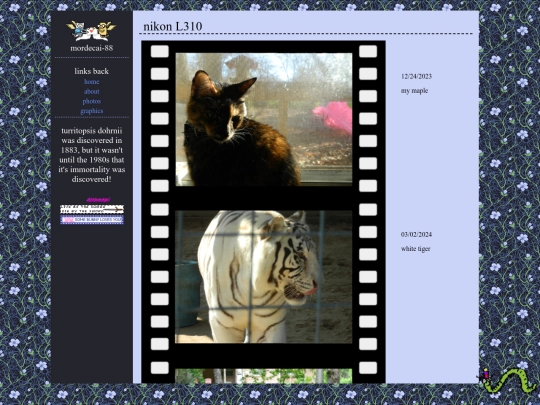ptp/photos screenshot