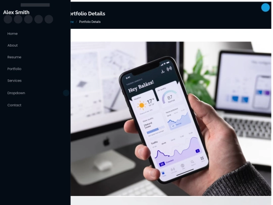 portfolio-details screenshot