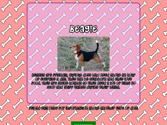 mediumdogs screenshot