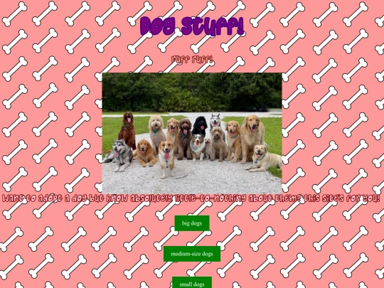 newsite screenshot