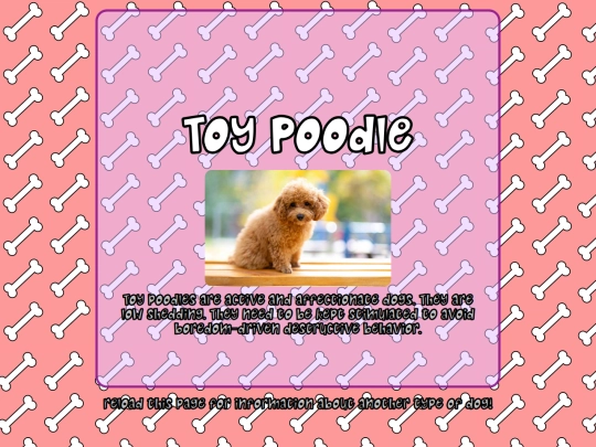 smalldogs screenshot