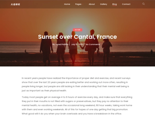 zpz/html/single-blog screenshot