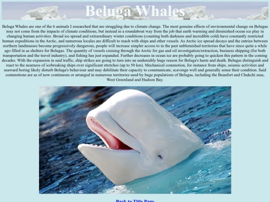belugas screenshot