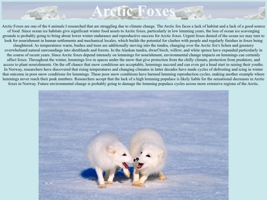foxes screenshot