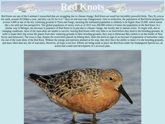 knots screenshot