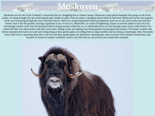 muskox screenshot