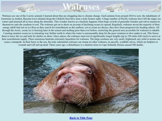 walruses screenshot