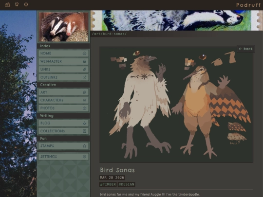art/bird-sonas screenshot
