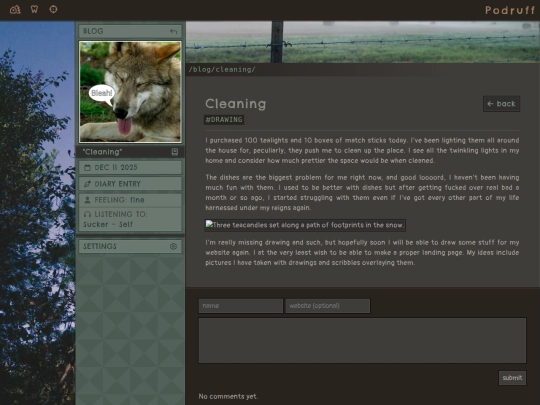 blog/cleaning screenshot