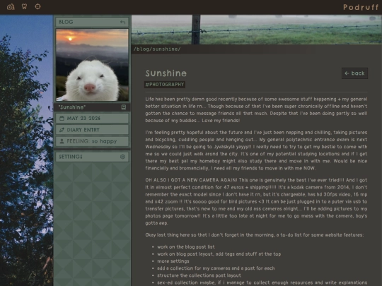 blog/sunshine screenshot