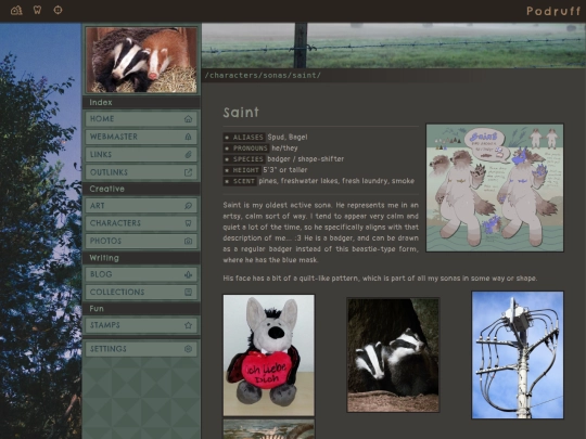 characters/sonas/saint screenshot