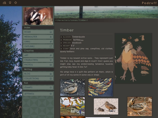 characters/sonas/timber screenshot