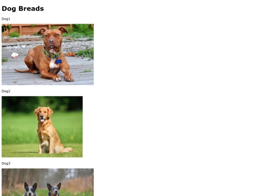 dogbreads screenshot