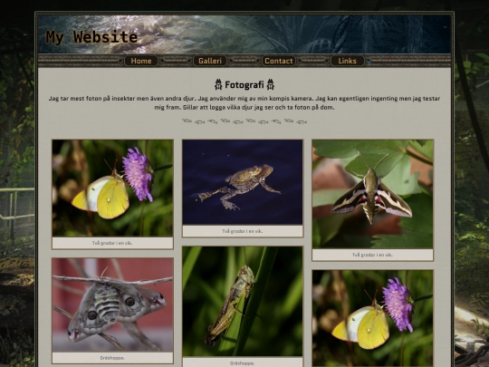 photos screenshot