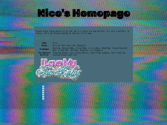Nico's Page/nico-homepage screenshot