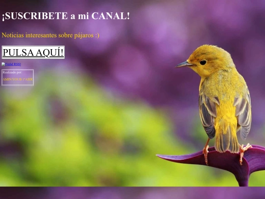 pajaros screenshot