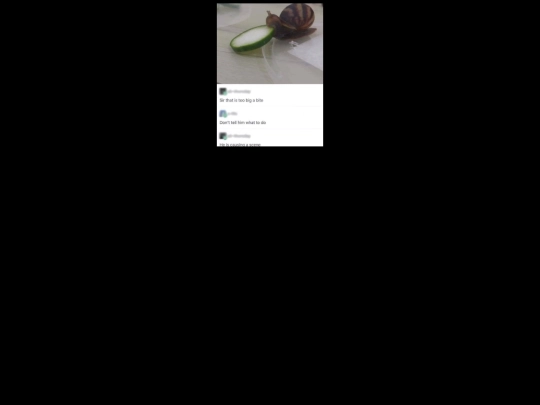 snail screenshot