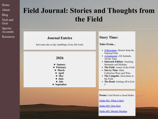 blog screenshot