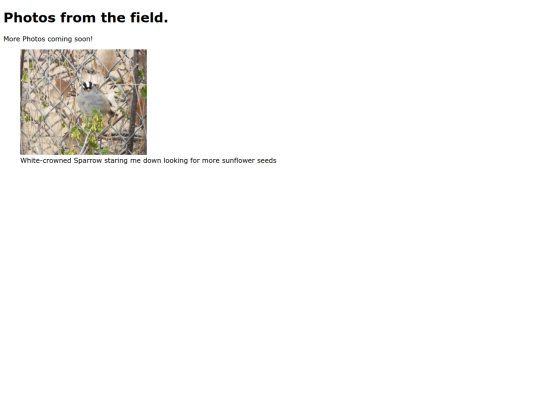 photos/NGP_photos screenshot