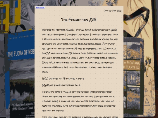 posts/06202026-forgotten-aru screenshot
