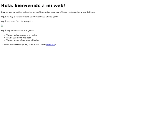 pruebapagina screenshot