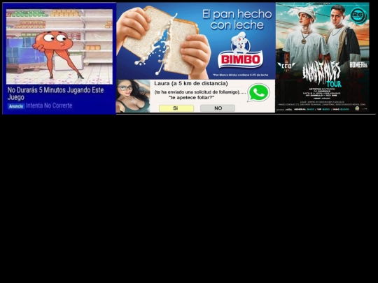 piedepagina screenshot