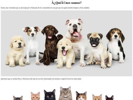 quienessomos screenshot