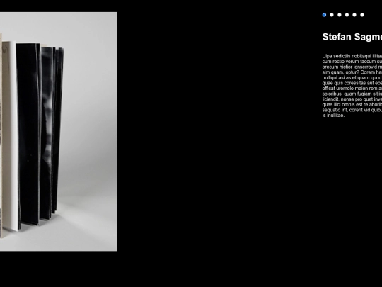 PORTFOLIO/galeriaBOOK screenshot