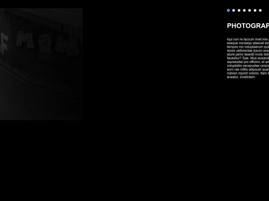 PORTFOLIO/galeriaFOTO screenshot