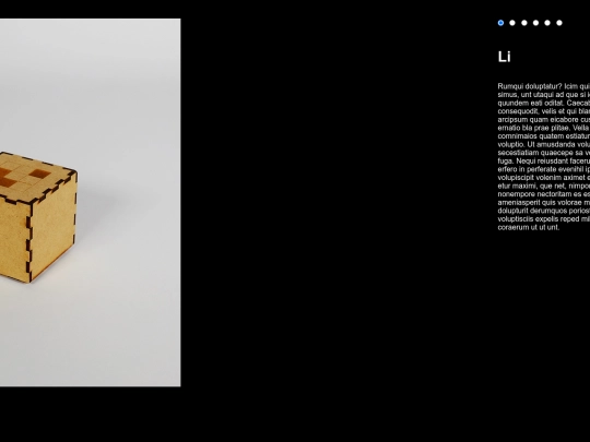 PORTFOLIO/galeriaLI screenshot