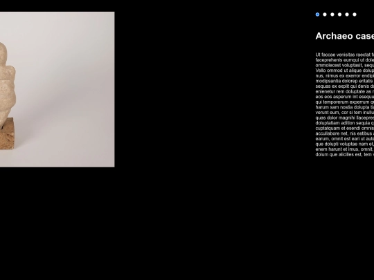 PORTFOLIO/galeriaVENUS screenshot