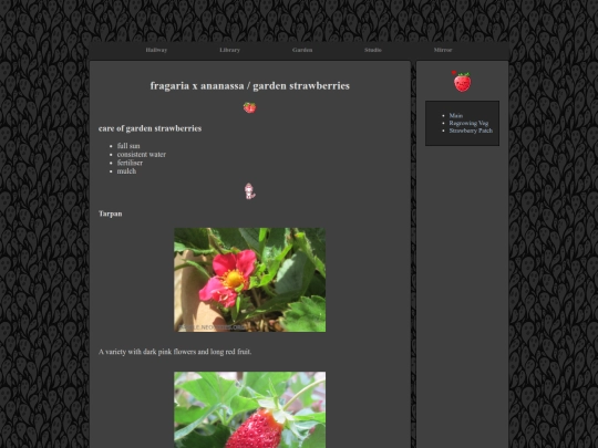 garden/strawberrypatch screenshot