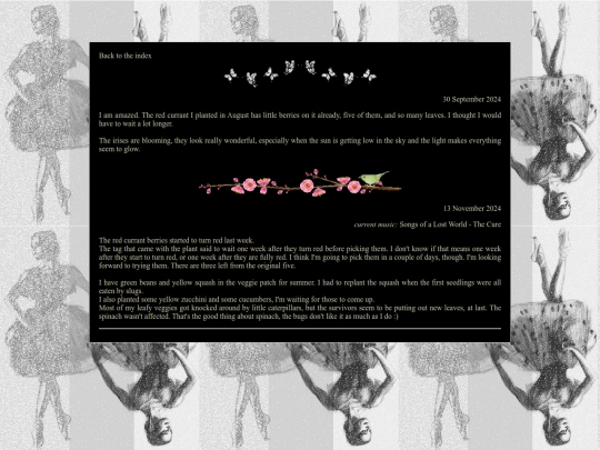 mirror/blog/2024spring screenshot