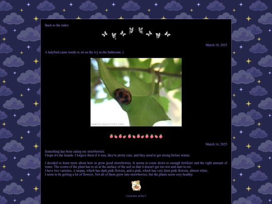 mirror/blog/2025autumn screenshot