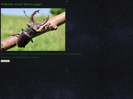 insects screenshot