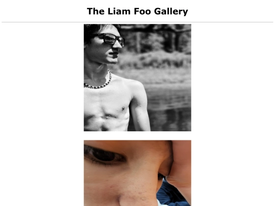 gallery screenshot