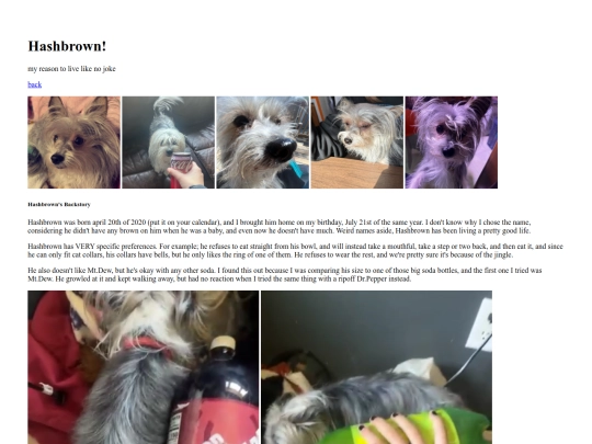 my-dog screenshot