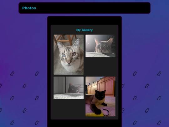 photography screenshot