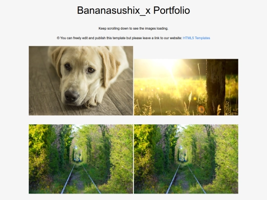 portfolio screenshot