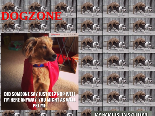 dogzone screenshot