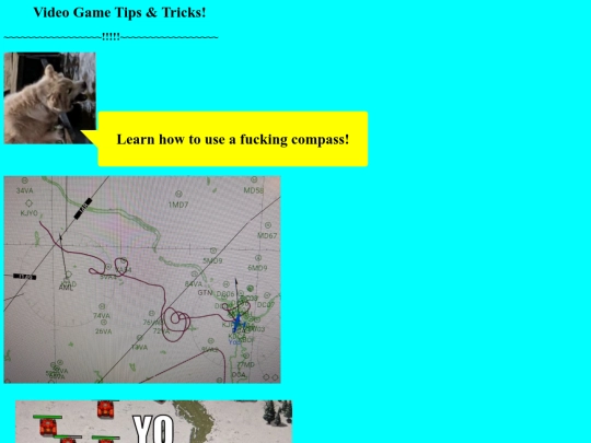 vidya screenshot